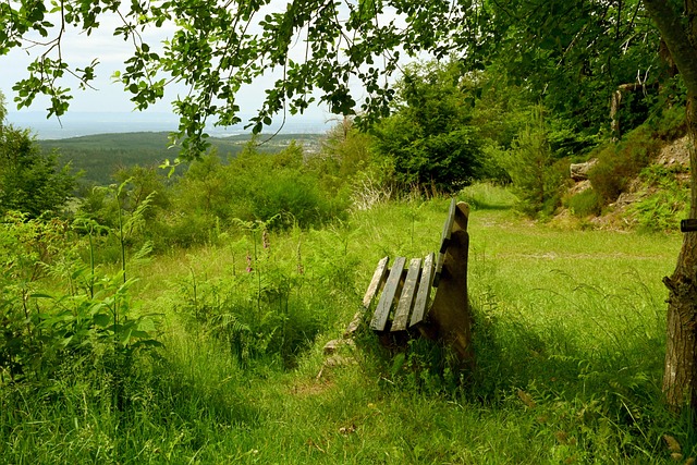 快船126-113击败尼克斯，伦纳德伤情堪忧，哈登赛后言论成为焦点.